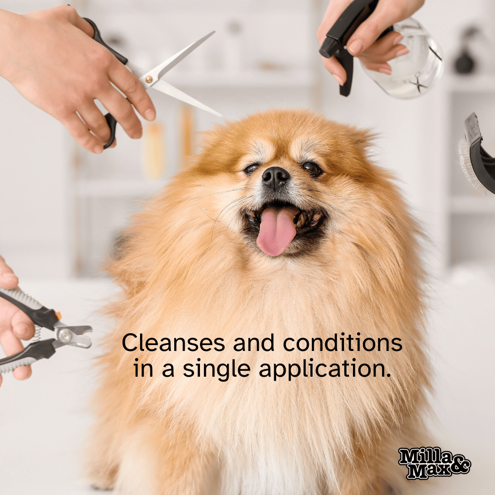 2 in 1 Conditioning Shampoo 25:1